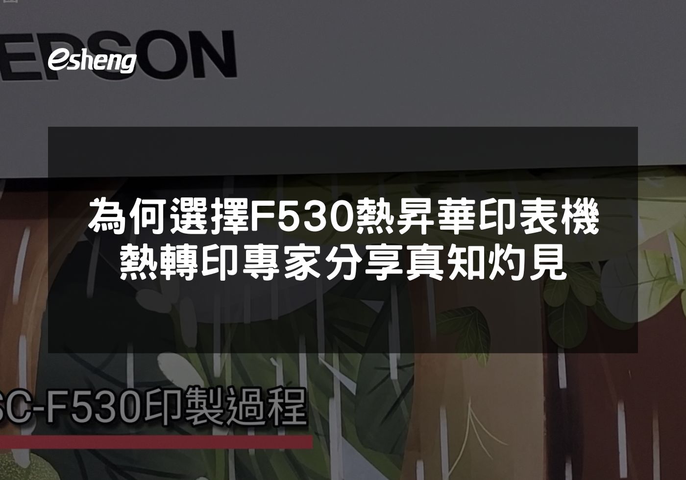 閱讀更多文章 為何選擇Epson F530作為您的熱昇華印表機 熱轉印專家分享真知灼見